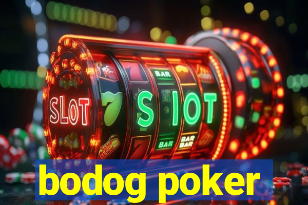 bodog poker