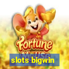 slots bigwin