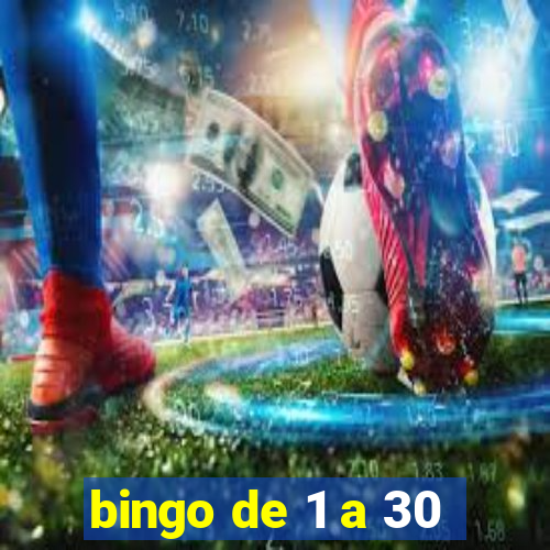 bingo de 1 a 30