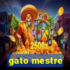 gato mestre