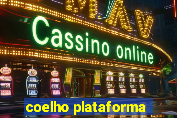 coelho plataforma