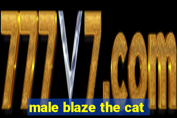 male blaze the cat