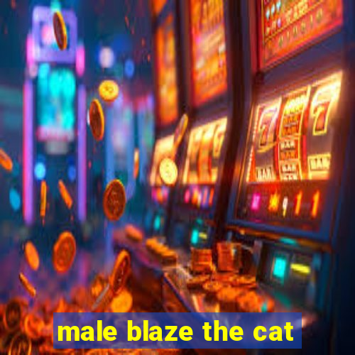 male blaze the cat