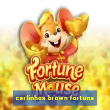 carlinhos brown fortuna