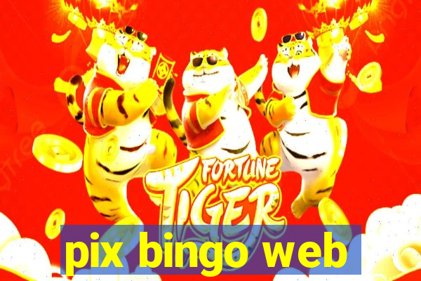 pix bingo web