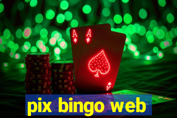 pix bingo web