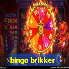 bingo brikker