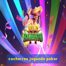 cachorros jogando poker