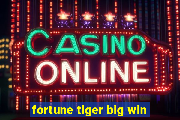 fortune tiger big win