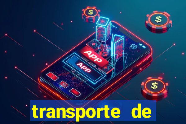 transporte de passageiros são jerônimo