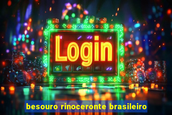 besouro rinoceronte brasileiro