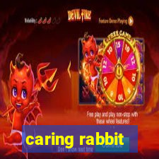 caring rabbit