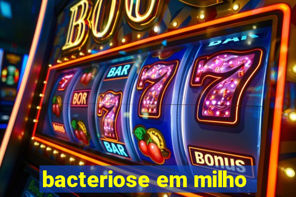 bacteriose em milho