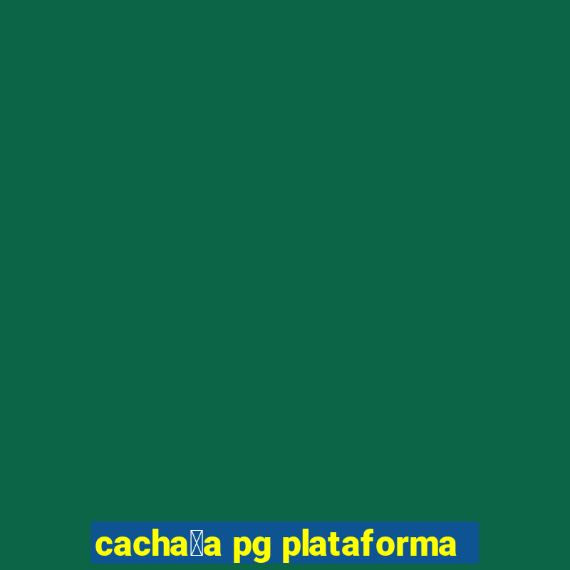 cacha莽a pg plataforma