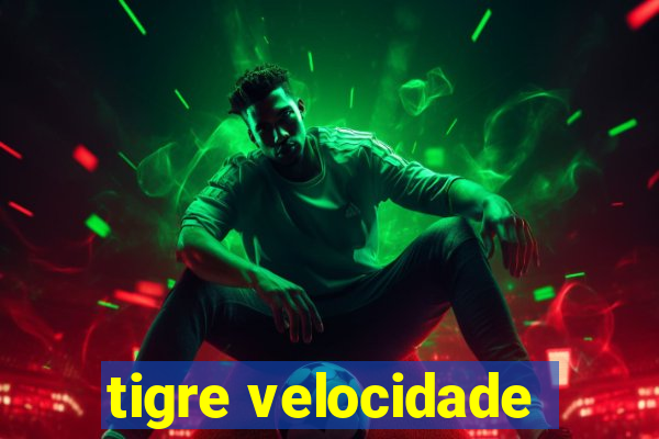 tigre velocidade