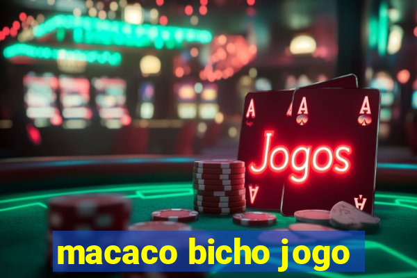 macaco bicho jogo