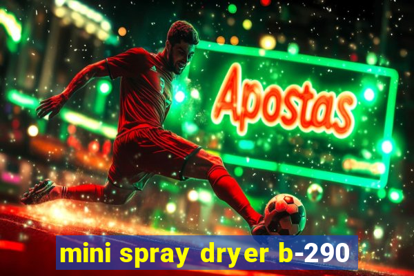 mini spray dryer b-290