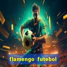 flamengo futebol play hd