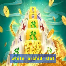 white orchid slot machine free