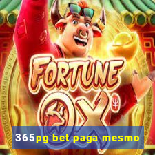 365pg bet paga mesmo