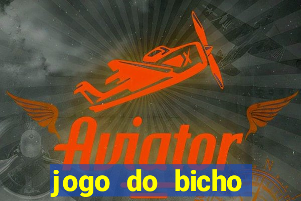 jogo do bicho aposta certa