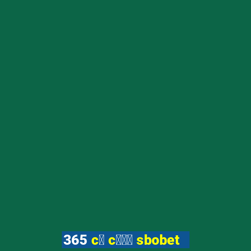 365 c谩 c瓢峄 sbobet