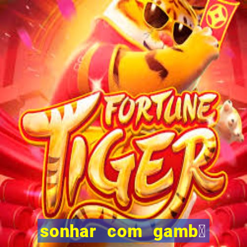 sonhar com gamb谩 jogo do bicho