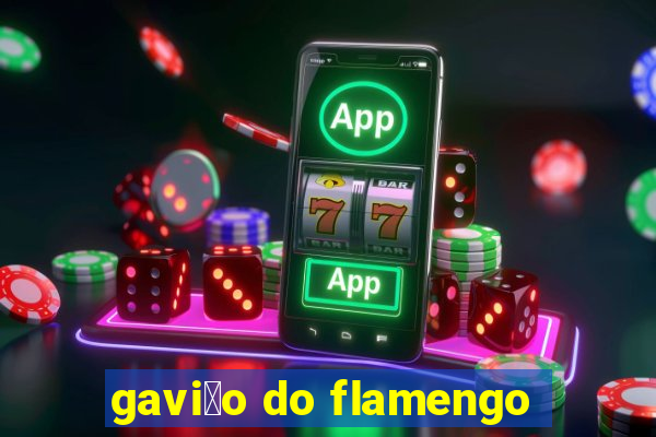 gavi茫o do flamengo