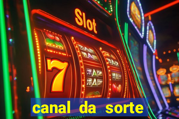 canal da sorte bingo de hoje