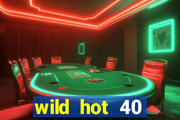 wild hot 40 christmas slot