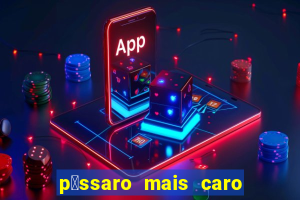 p谩ssaro mais caro do mundo