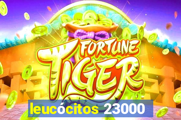 leucócitos 23000