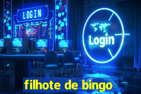 filhote de bingo