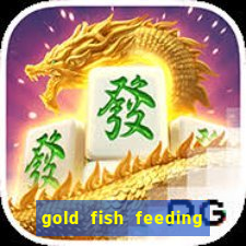 gold fish feeding time slot machine