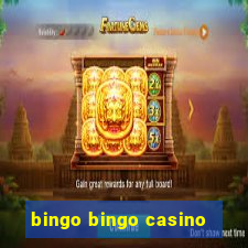 bingo bingo casino