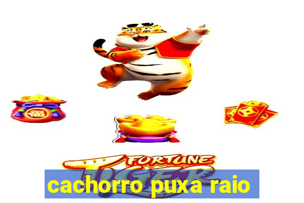 cachorro puxa raio