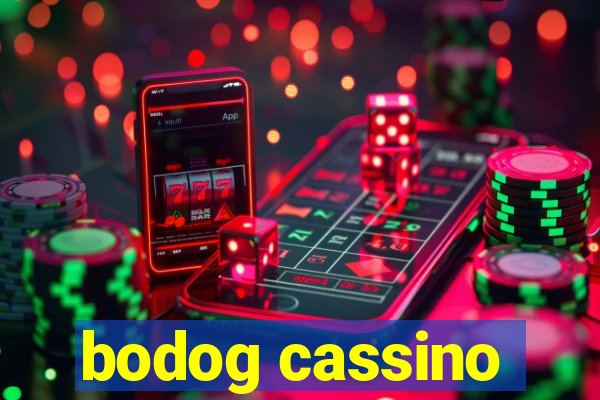 bodog cassino