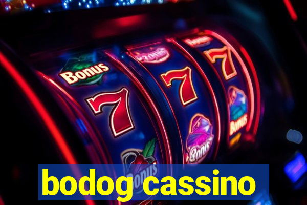 bodog cassino