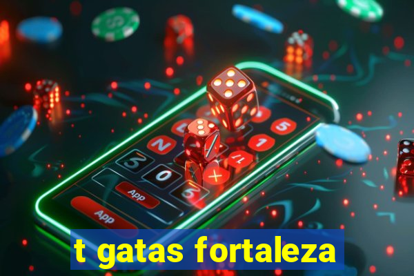 t gatas fortaleza