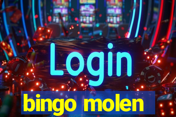 bingo molen