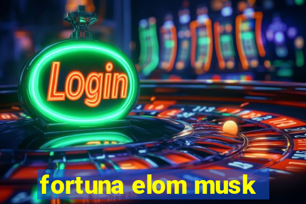 fortuna elom musk