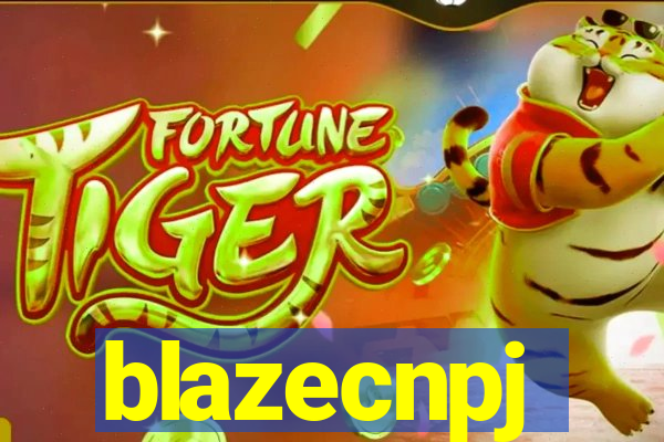 blazecnpj