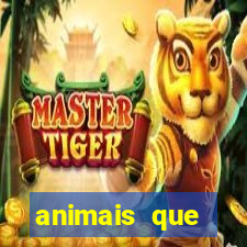 animais que produzem alimentos