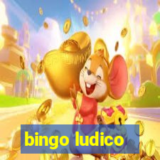 bingo ludico