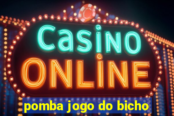 pomba jogo do bicho