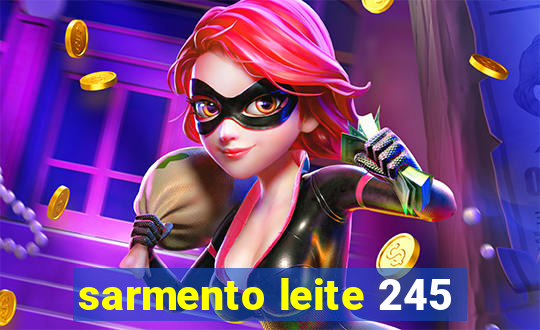 sarmento leite 245