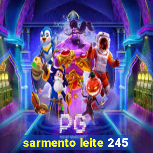 sarmento leite 245