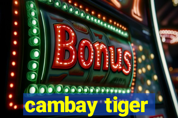 cambay tiger