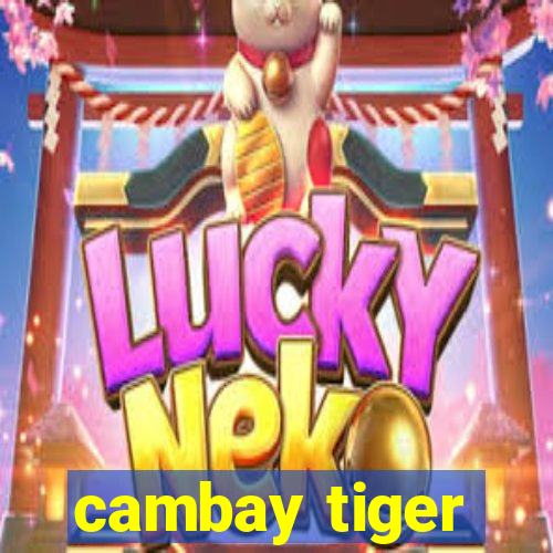 cambay tiger