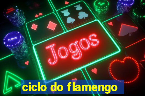 ciclo do flamengo